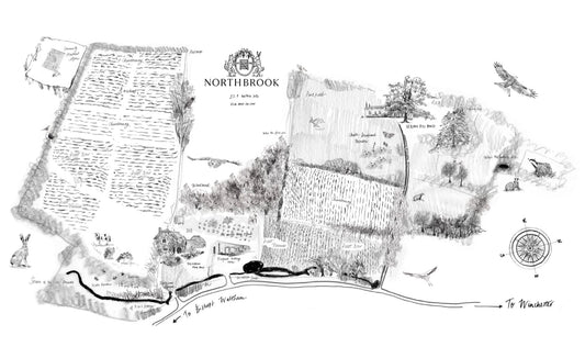 Illustrated map of Northbrook Vineyard by Abby Cook