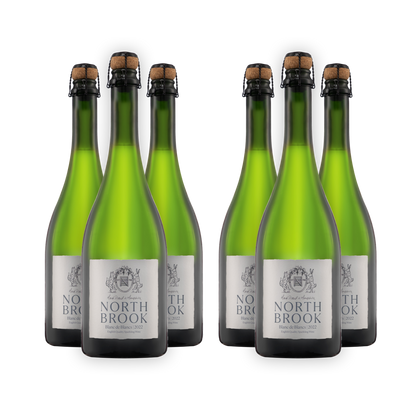 2022 Blanc de Blancs