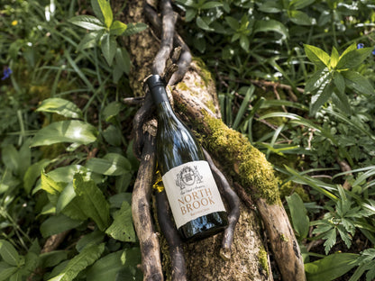 Our Bacchus is vibrant and refreshing, with ripe gooseberry, apple and peach flavours combined with a wet stone complexity. 2020 Vintage Bacchus