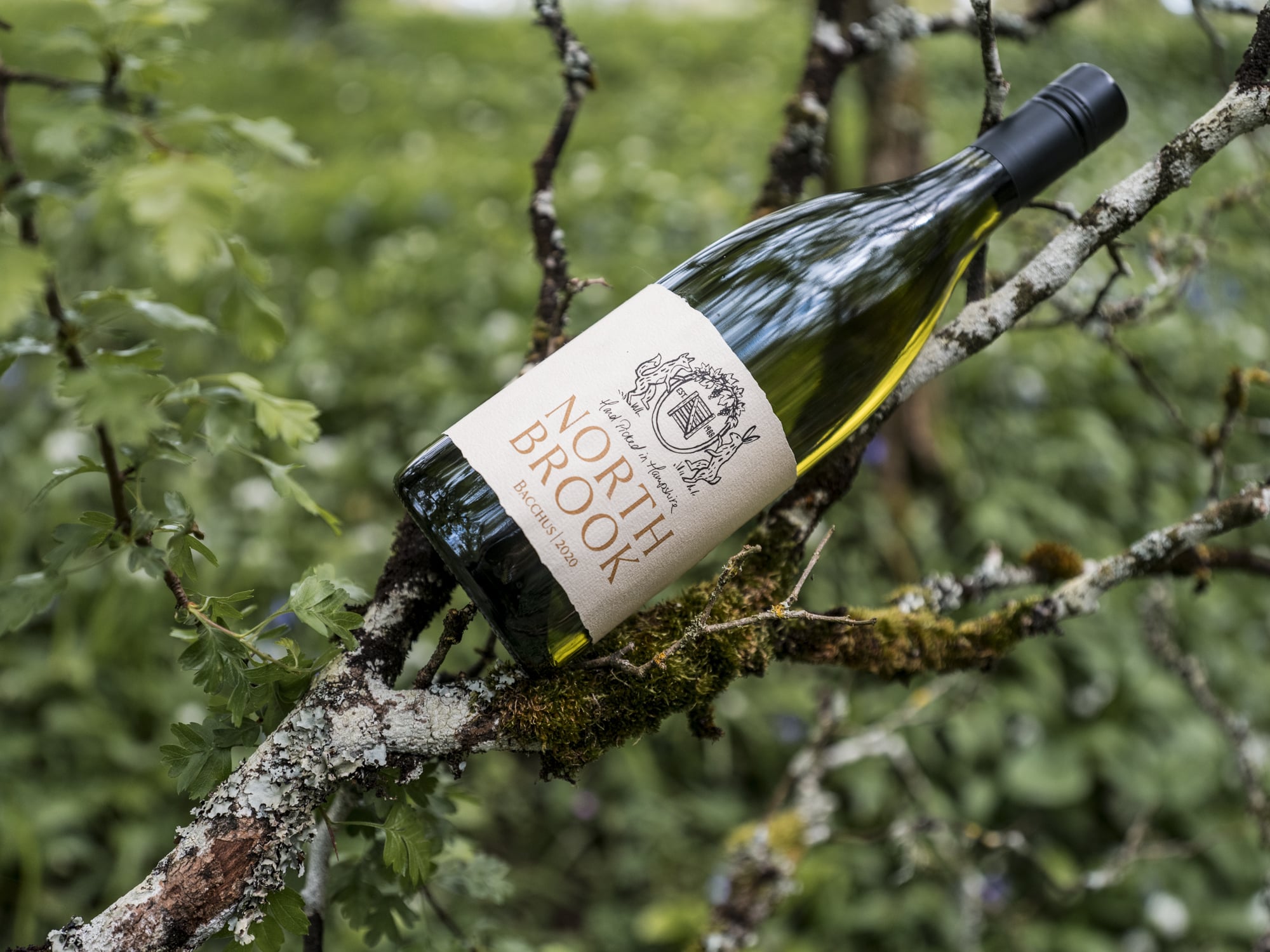 Our Bacchus is vibrant and refreshing, with ripe gooseberry, apple and peach flavours combined with a wet stone complexity. 2020 Vintage Bacchus